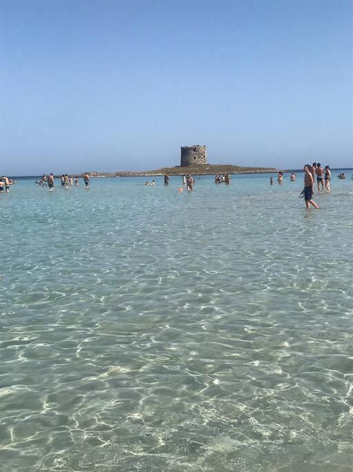 Casa Vacanze Stelle Marine Viddalba 外观 照片